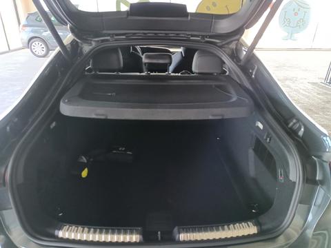 Trunk