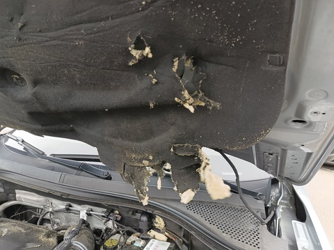 Damage