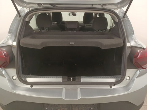 Trunk