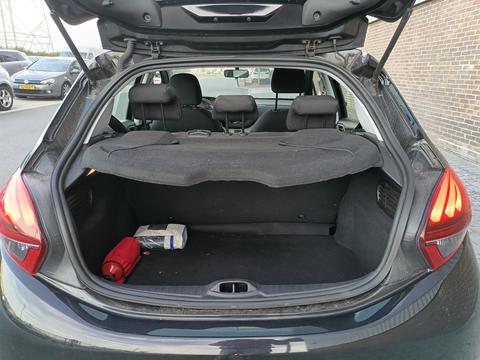 Trunk