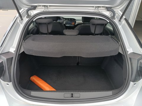 Trunk