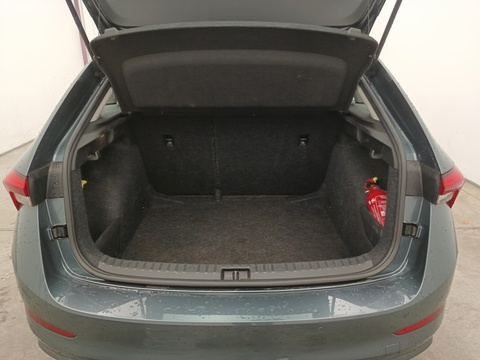 Trunk