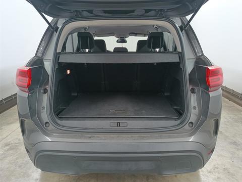 Trunk