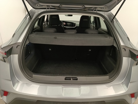 Trunk