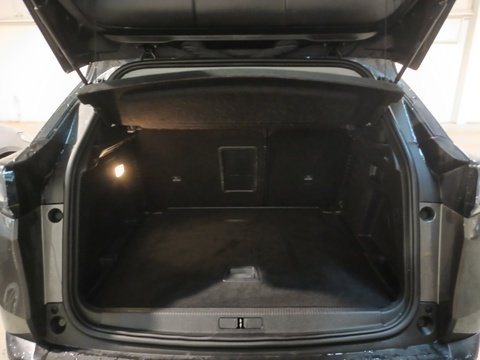 Trunk