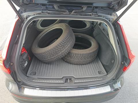 Trunk