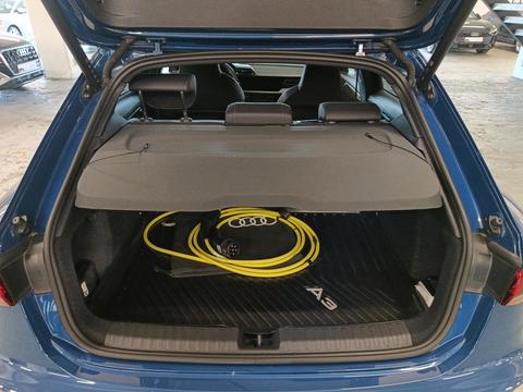 Trunk