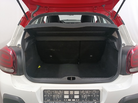 Trunk
