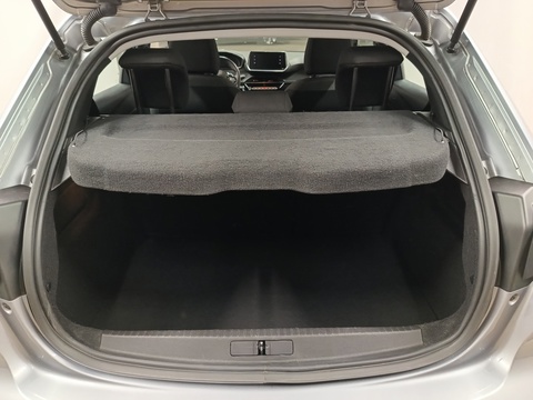 Trunk