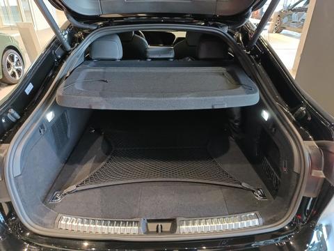 Trunk