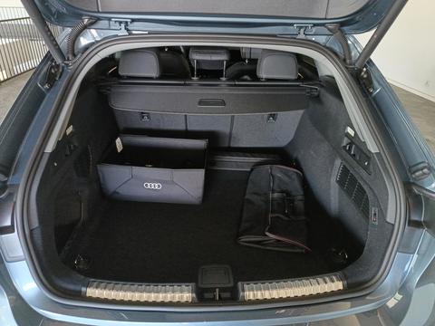 Trunk