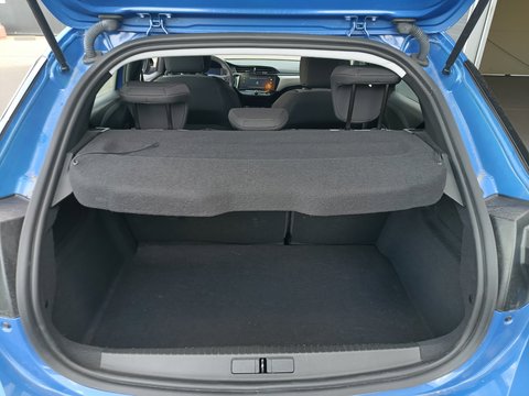 Trunk
