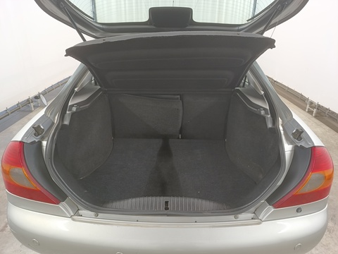 Trunk