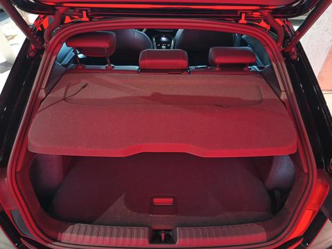 Trunk
