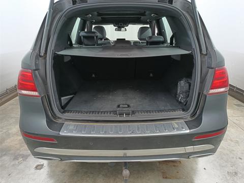 Trunk