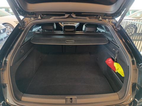 Trunk