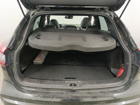 Trunk