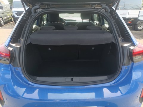 Trunk