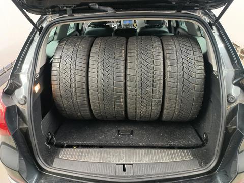 Trunk