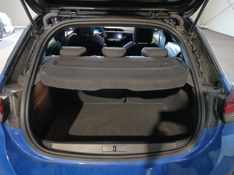 Trunk