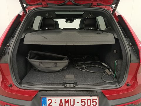 Trunk