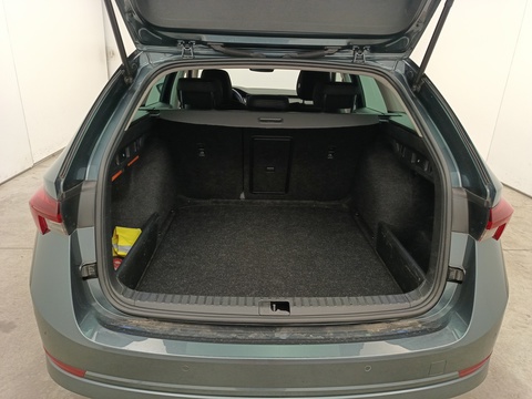 Trunk