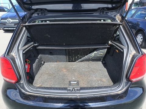 Trunk