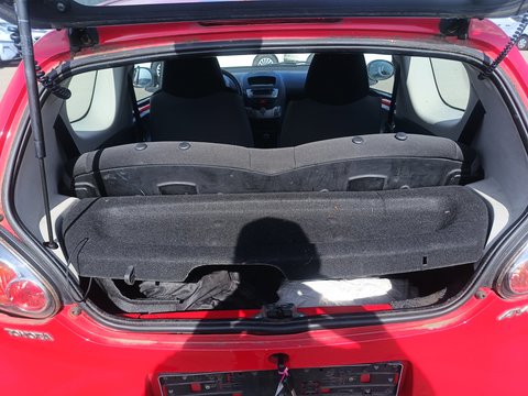 Trunk