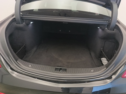 Trunk