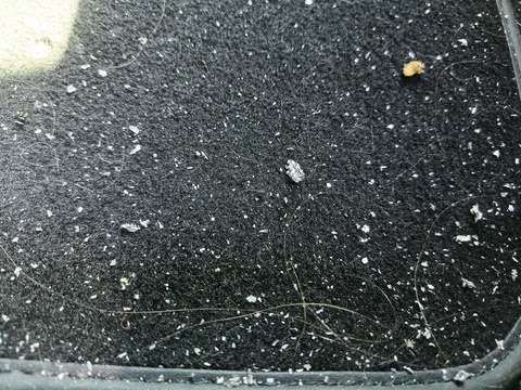 Damage