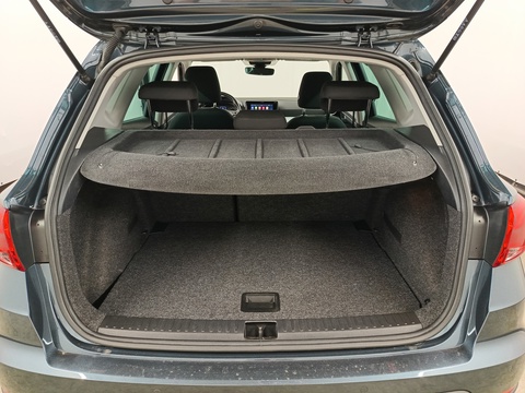 Trunk
