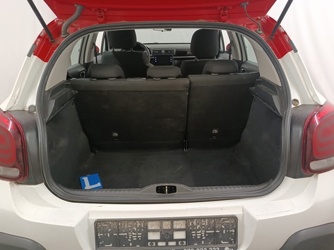 Trunk