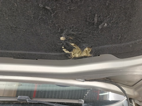 Damage