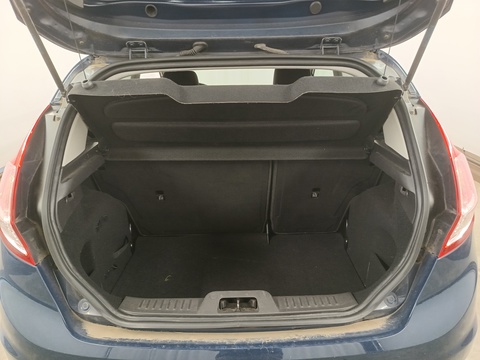 Trunk
