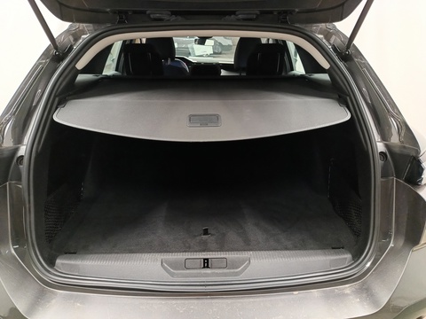 Trunk