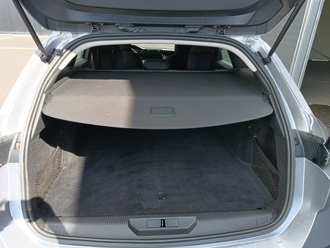 Trunk