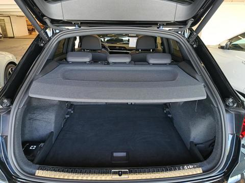 Trunk