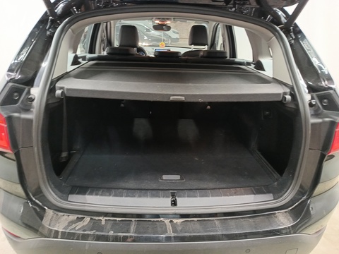 Trunk