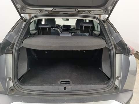 Trunk