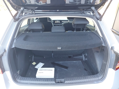 Trunk