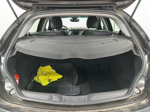 Trunk