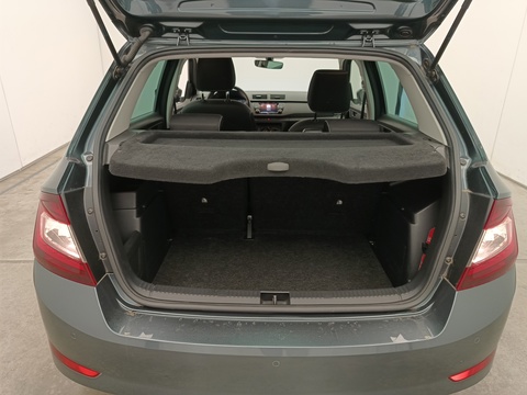 Trunk