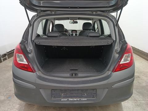 Trunk
