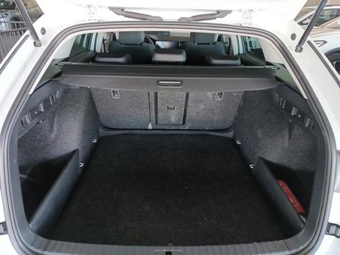 Trunk