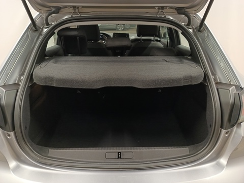 Trunk