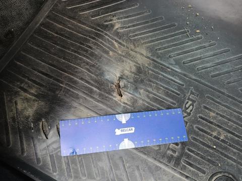 Damage