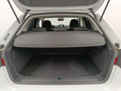Trunk