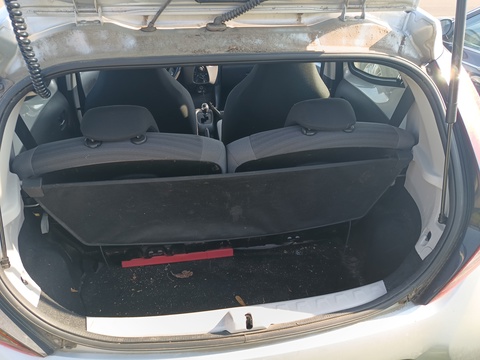 Trunk