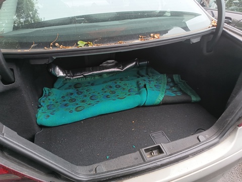 Trunk