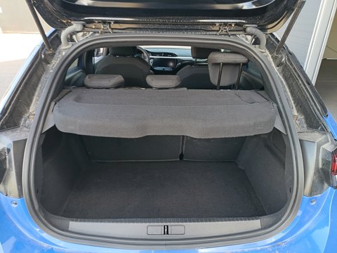 Trunk